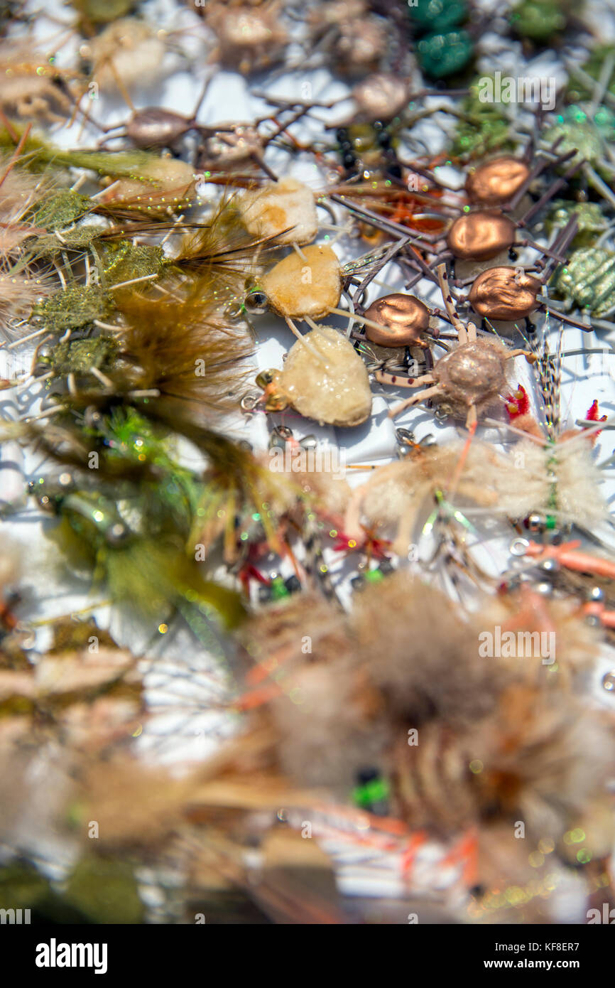 BELIZE, Punta Gorda, Toledo, guests can go Flyfishing, Belcampo Belize