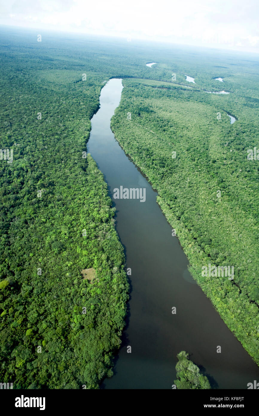 BRAZIL, Amazon Jungle landscape shot from an airplane Stock Photo - Alamy