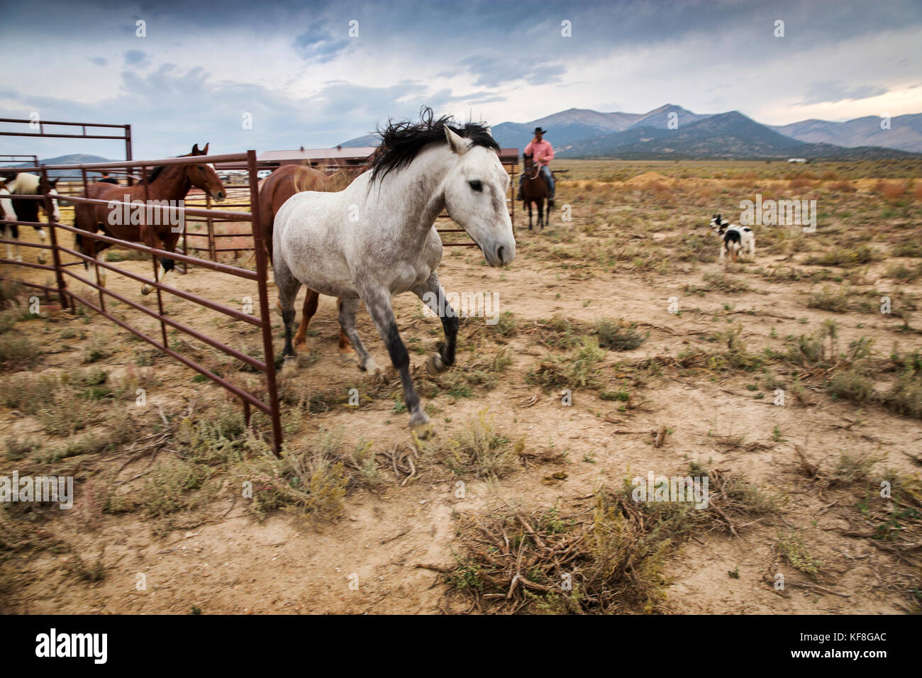 USA, Nevada, Wells, Mustang Monument, A sustainable luxury eco friendly