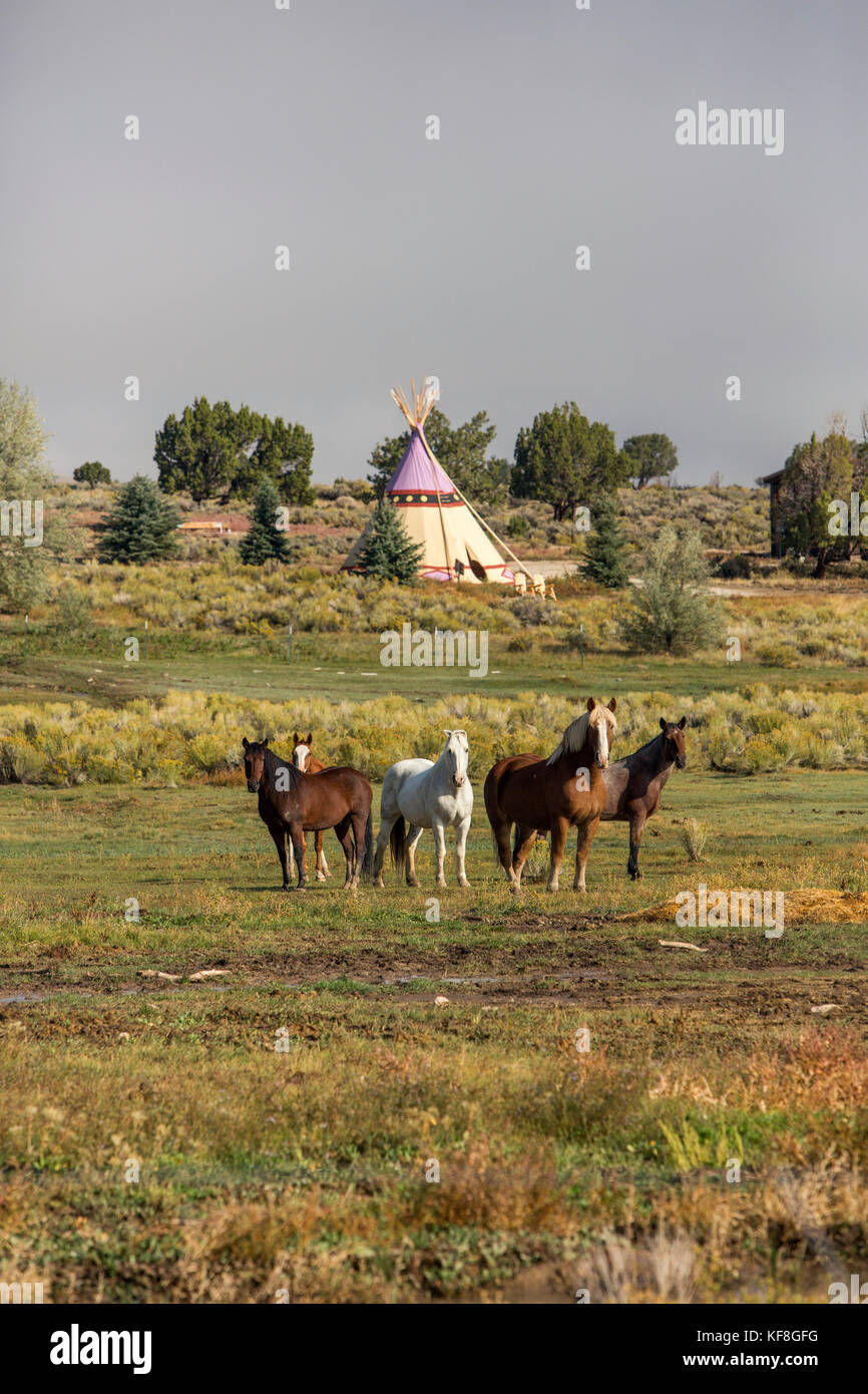 USA, Nevada, Wells, Mustang Monument, A sustainable luxury eco friendly
