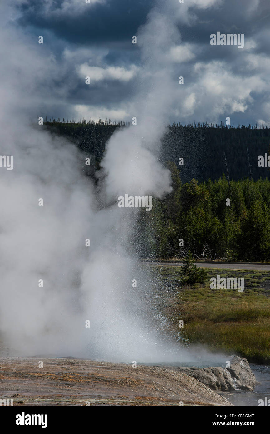 Cliff Geyser erupting in the Black sand basin, Yellowstone National ...