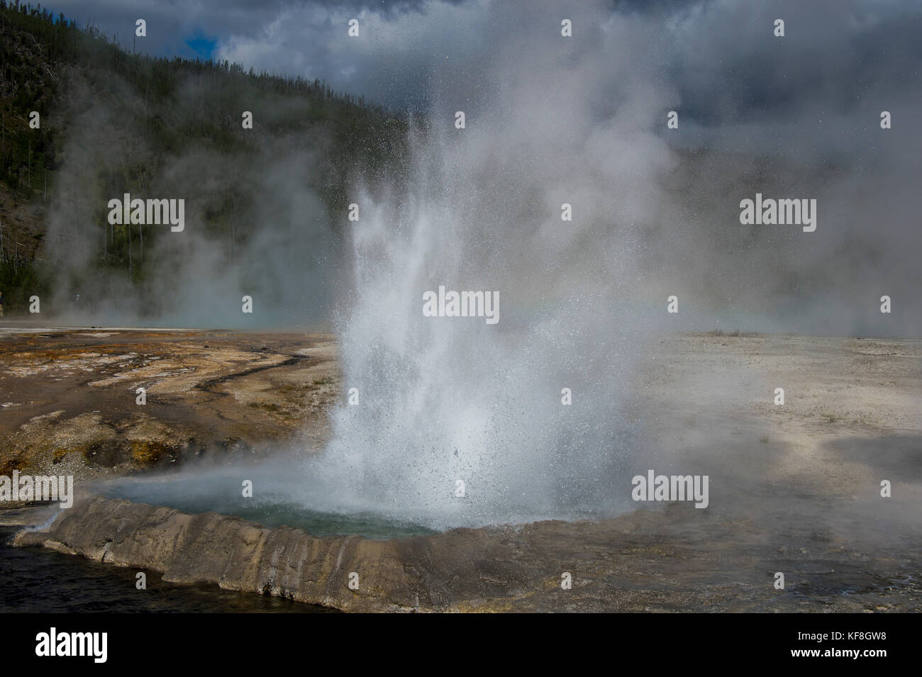 Cliff Geyser erupting in the Black sand basin, Yellowstone National ...