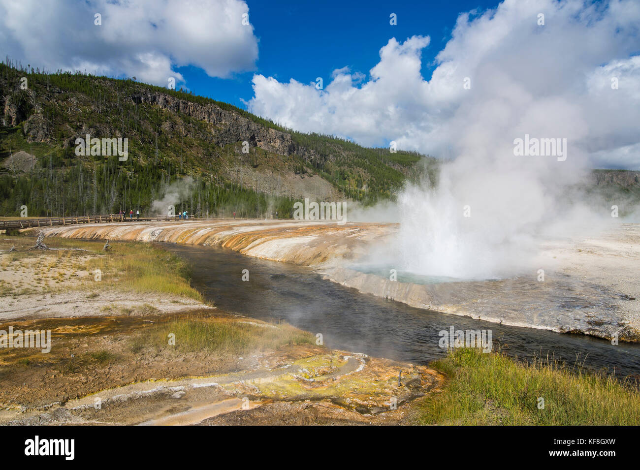 Cliff Geyser erupting in the Black sand basin, Yellowstone National ...