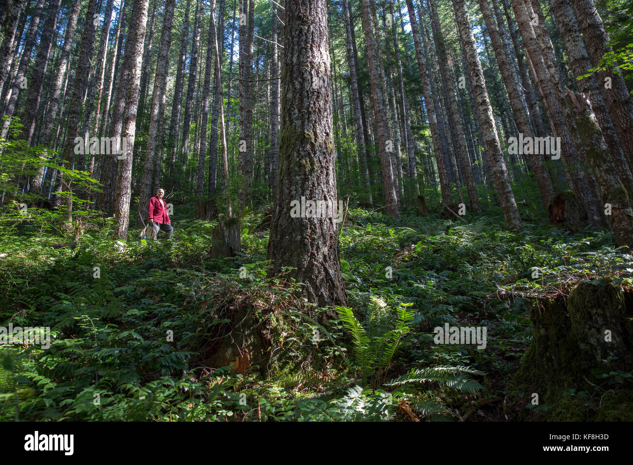 USA, Oregon, Willamette Valley, shots of Jack Czarnecki hunting for