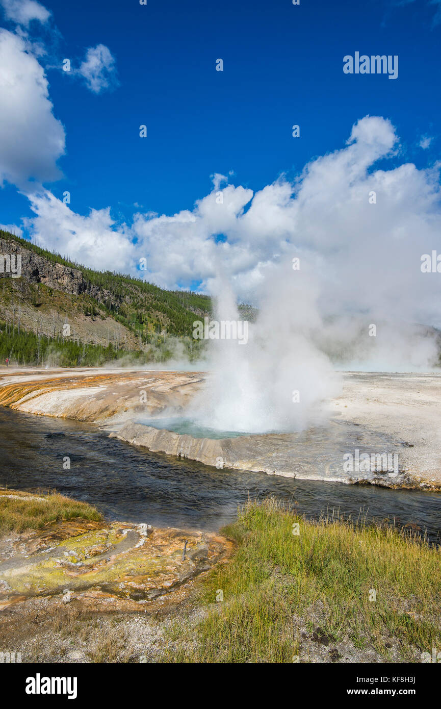 Cliff Geyser erupting in the Black sand basin, Yellowstone National ...