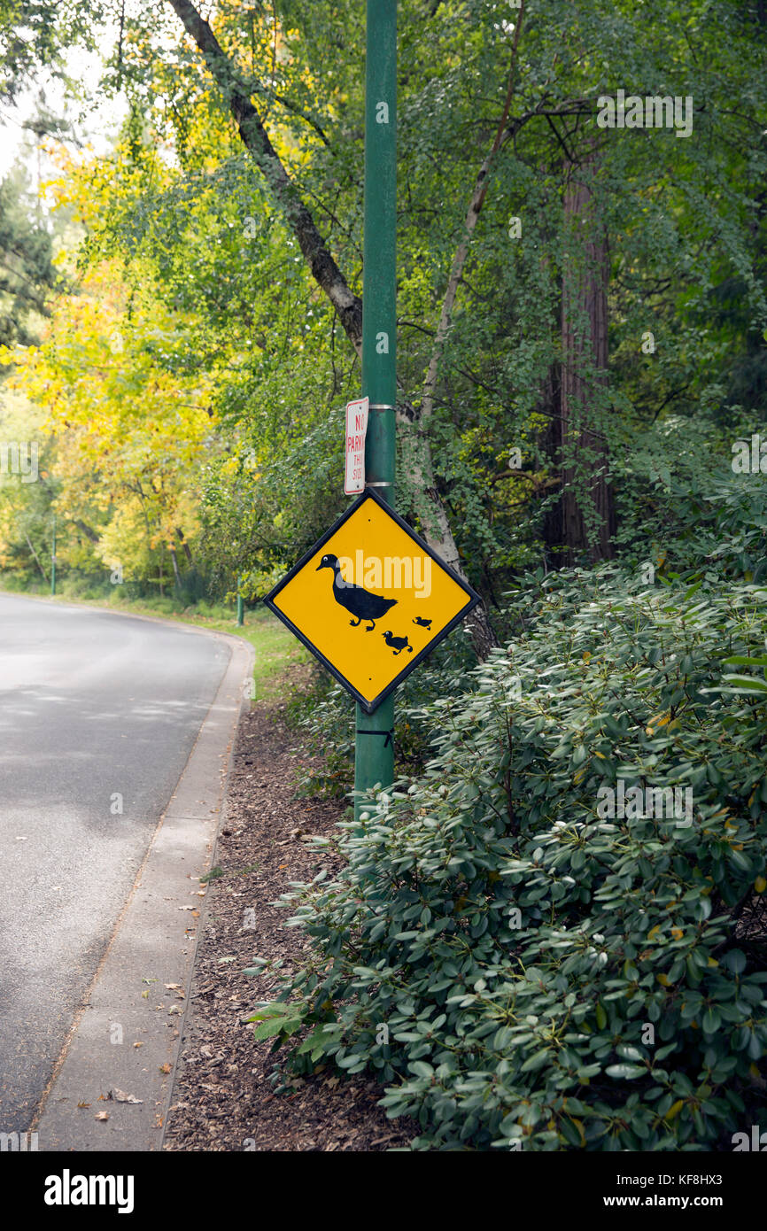 USA, Oregon, Ashland, duck crossing sign in Lithia Park Stock Photo