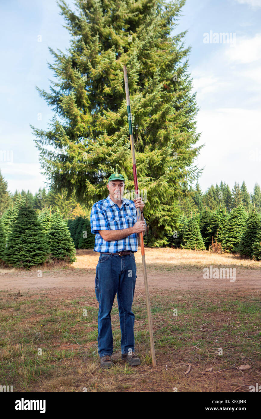 USA, Oregon, Corbett, Trout Creek Tree Farm, owner Tom Norby on his 80