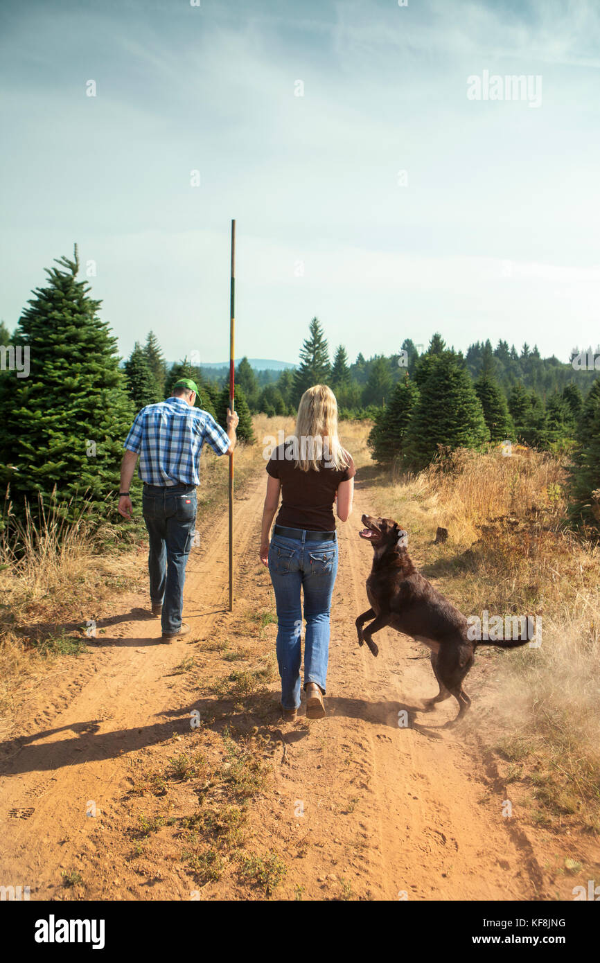 USA, Oregon, Corbett, Trout Creek Tree Farm, owners Terri Barnes and