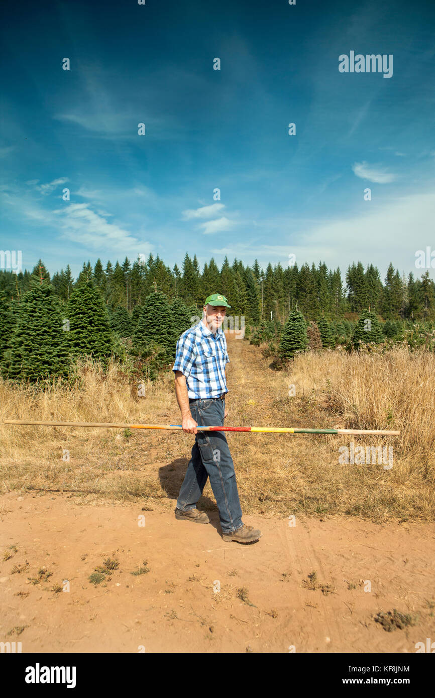 USA, Oregon, Corbett, Trout Creek Tree Farm, owner Tom Norby on his 80