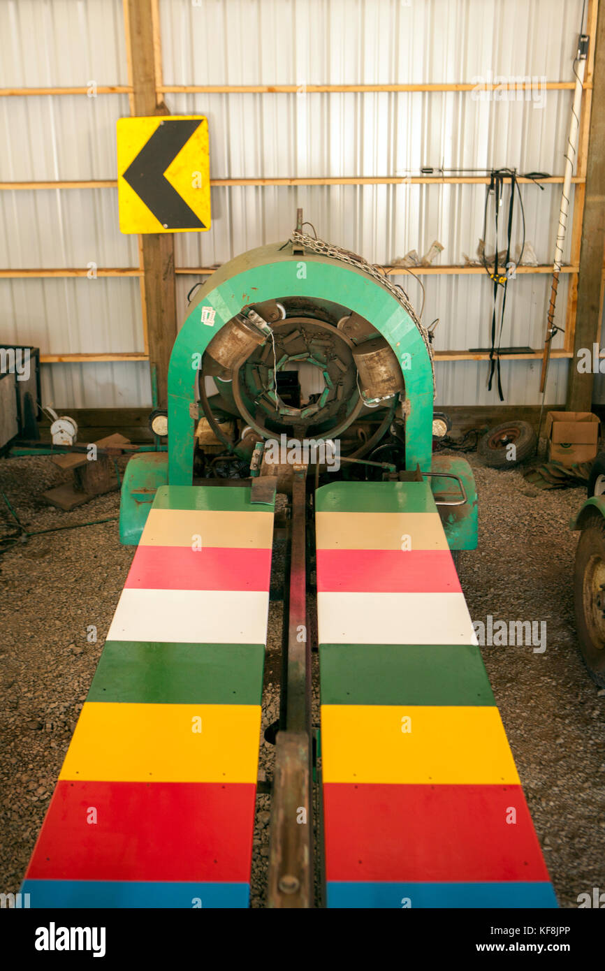 USA, Oregon, Corbett, Trout Creek Tree Farm, 80 acres of Noble fir