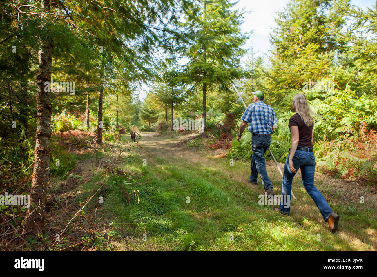USA, Oregon, Corbett, Trout Creek Tree Farm, owners Terri Barnes and
