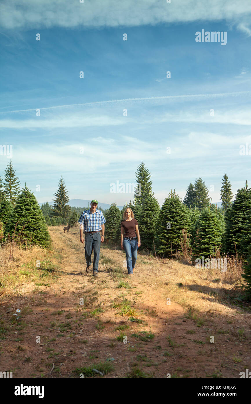 USA, Oregon, Corbett, Trout Creek Tree Farm, owners Terri Barnes and