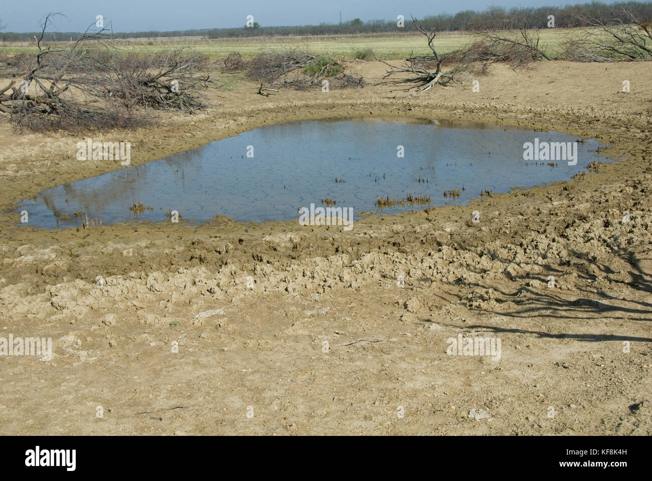 PASTURE AND LIVESTOCK TANK SHOWING LOW WATER LEVEL Stock Photo Alamy