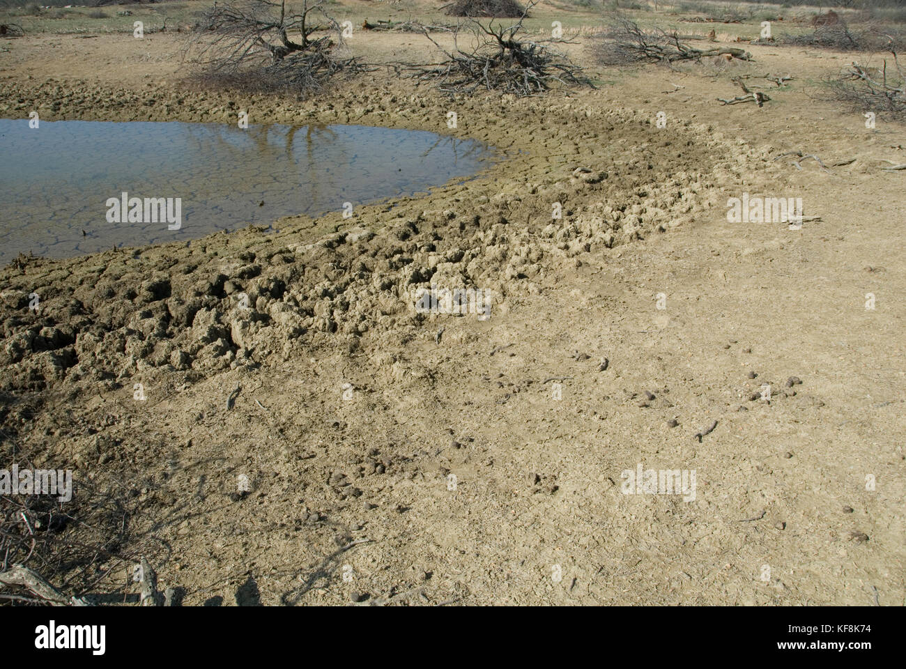 PASTURE AND LIVESTOCK TANK SHOWING LOW WATER LEVEL Stock Photo Alamy
