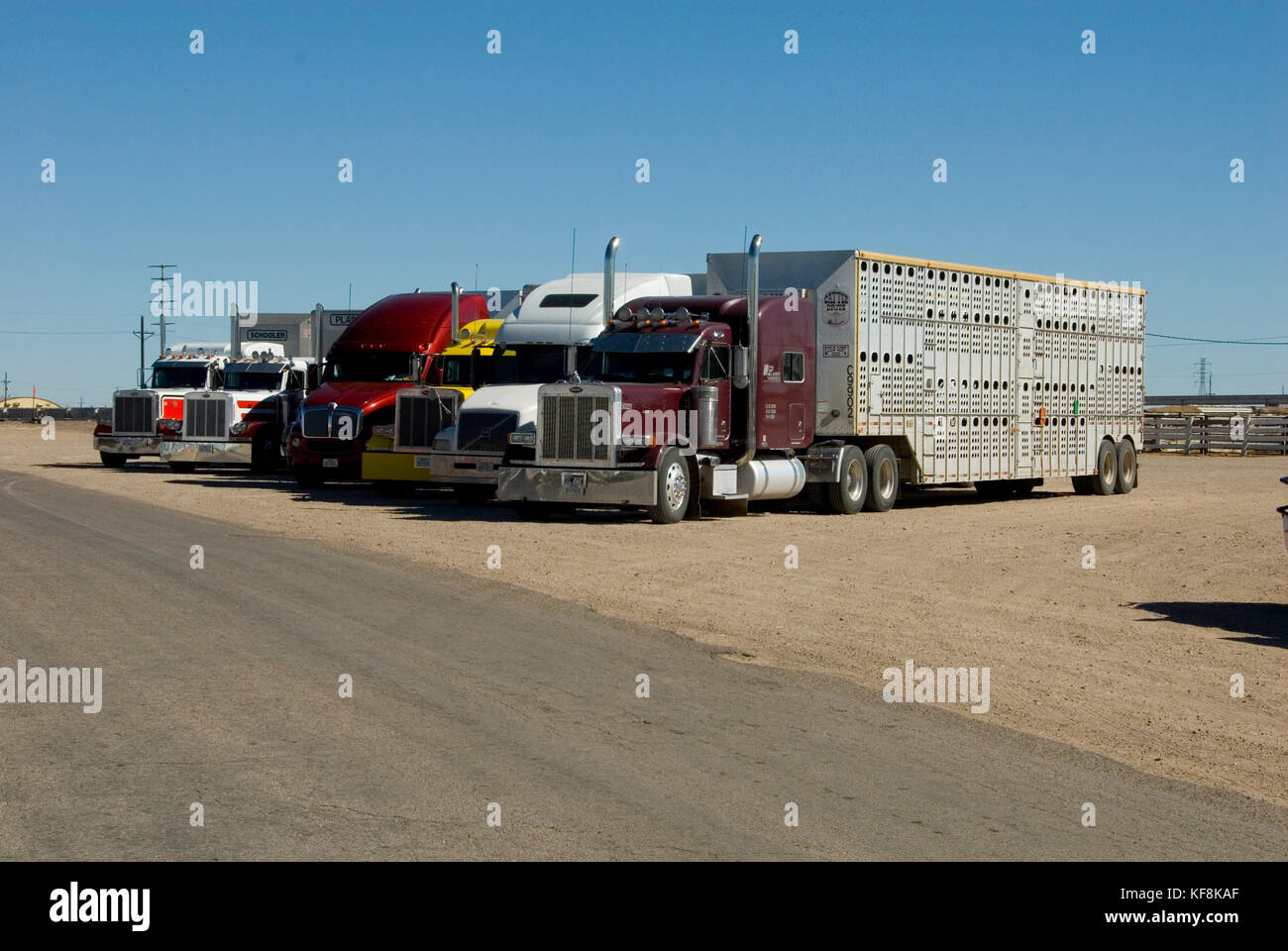 Livestock trucks hires stock photography and images Alamy