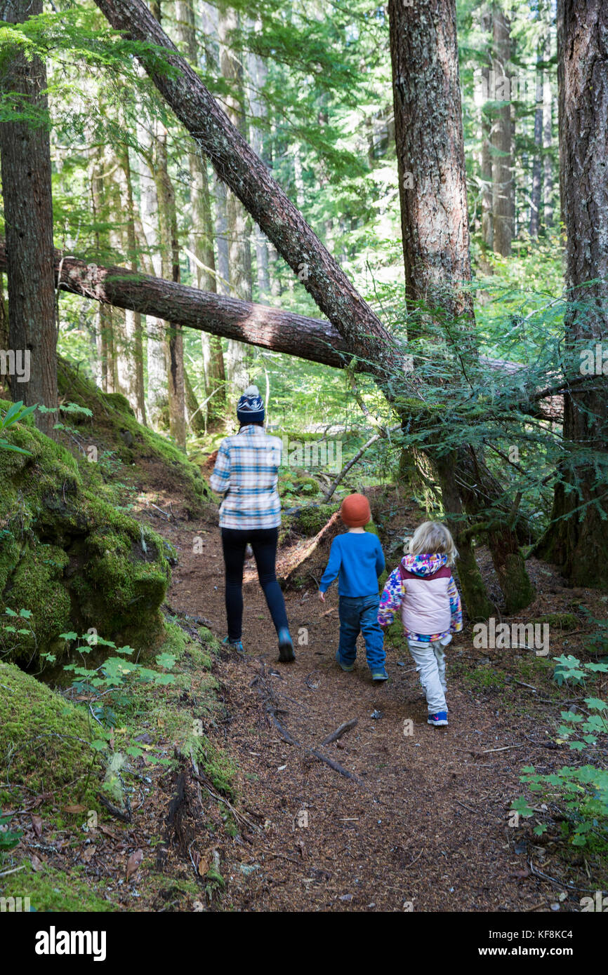 USA, Oregon, Oregon Cascades, a young family hikes out to Proxy Falls located off the McKenzie Pass on Hwy 242, the Wilamette National Forest Stock Photo
