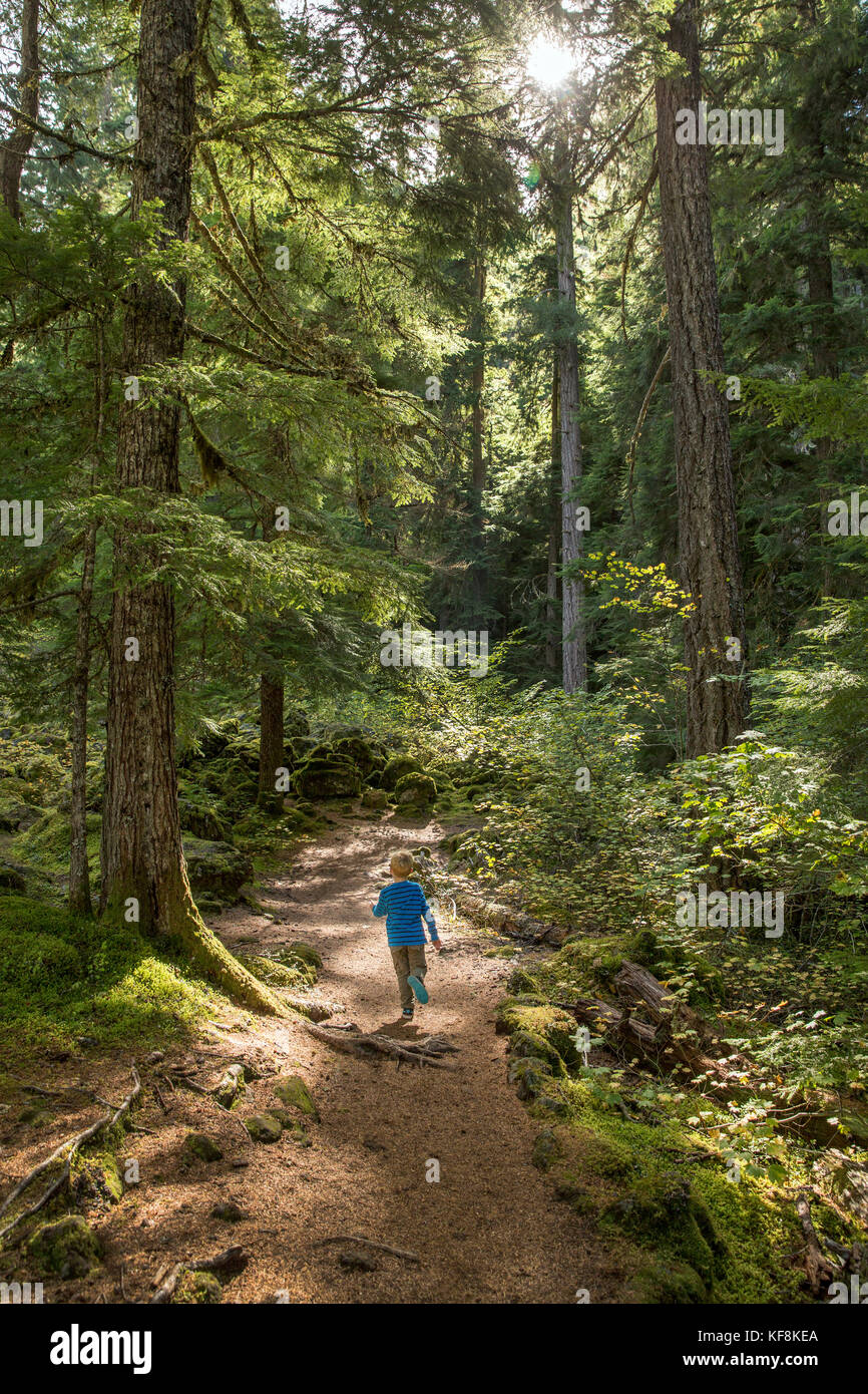USA, Oregon, Oregon Cascades, a young boy runs on the trail during the hike out to Proxy Falls located off the McKenzie Pass on Hwy 242, the Wilamette Stock Photo