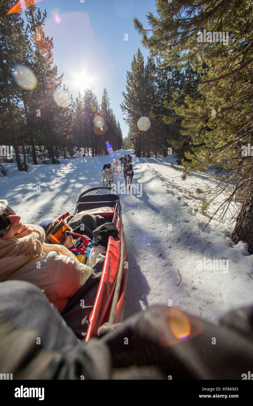 USA, Oregon, Bend, passengers ride in the cargo bed while being pulled