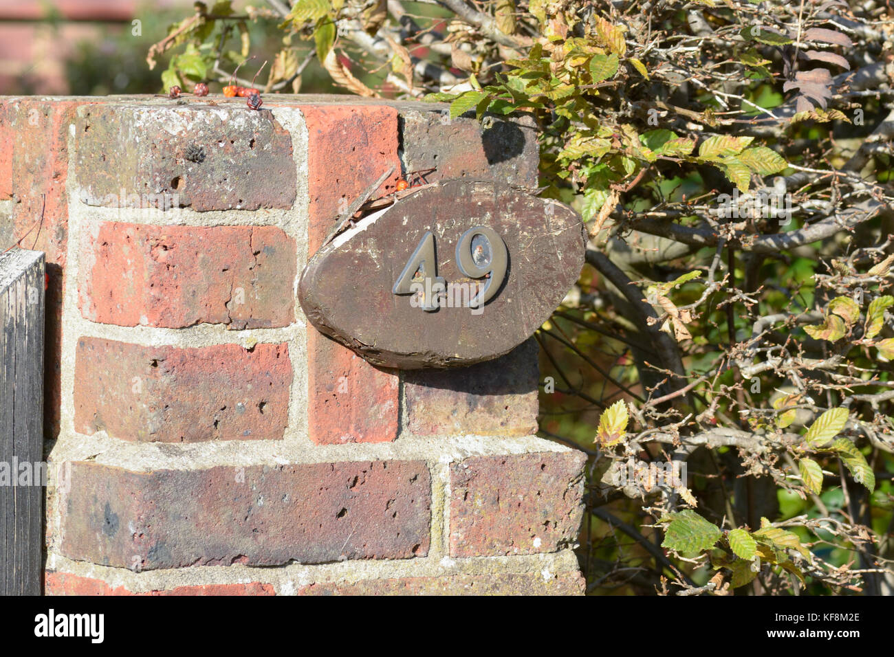 House number 49 sign on wall Stock Photo