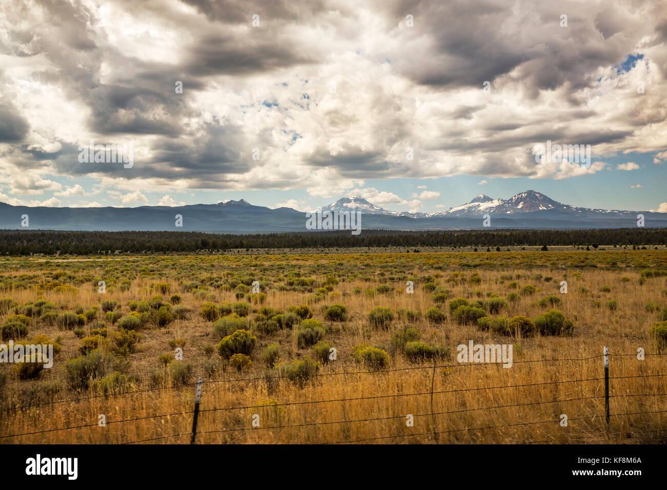 USA, Oregon, Sisters, view of the Sisters mountains from hwy 20 South