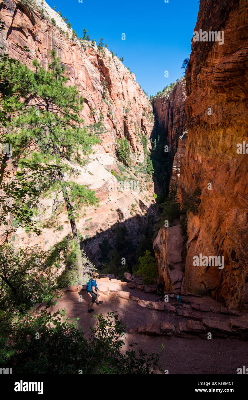 Zigzag trail leading to Angel´s landing, Zion National Park, Utah, USA ...