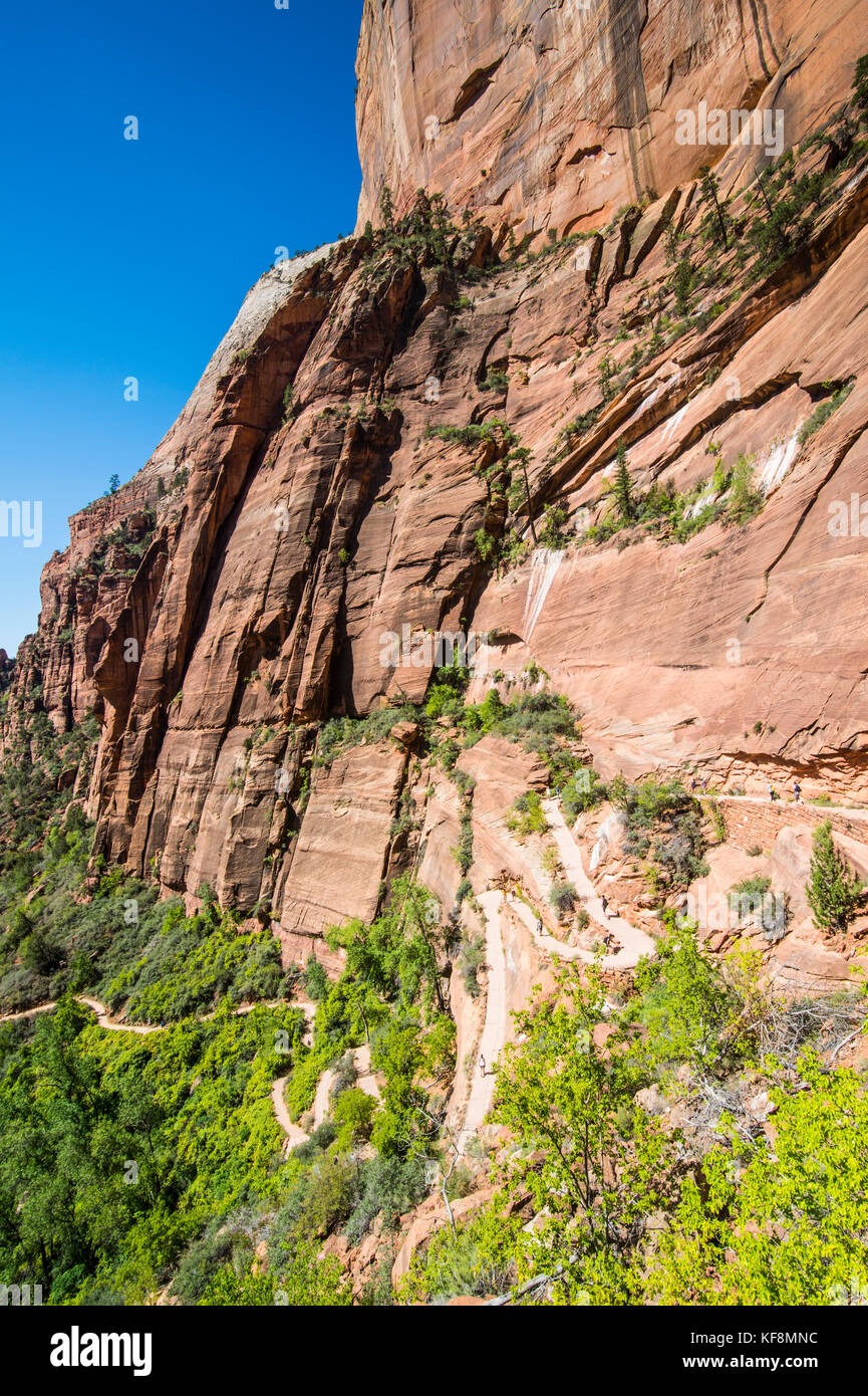 Overlook over the cliffs of the Zion national Park and the Angel´s ...