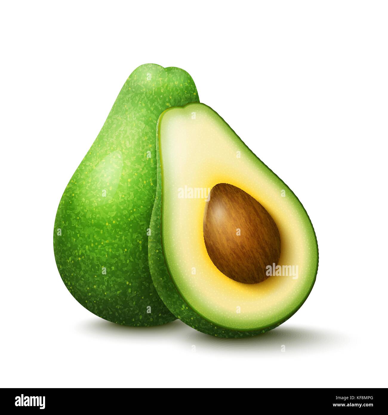 https://c8.alamy.com/comp/KF8MPG/vector-realistic-fresh-fruit-avocado-isolated-on-white-background-KF8MPG.jpg