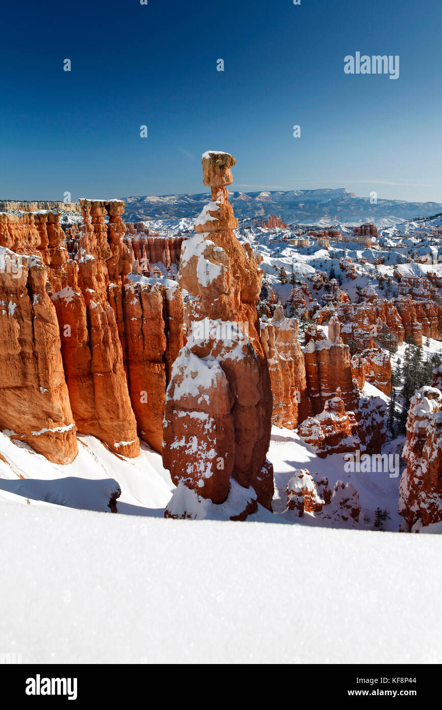 USA, Utah, Bryce Canyon City, Bryce Canyon National Park, snow covered Hoodoos along the Navajo Loop Trail, A formation called Thors Hammer Stock Photo