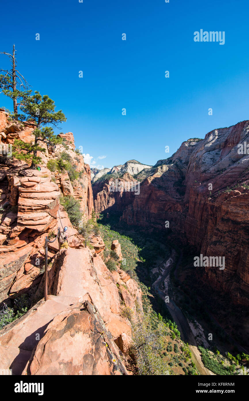 Narrow edge leading to Angel´s landing, Zion National Park, Utah, USA ...