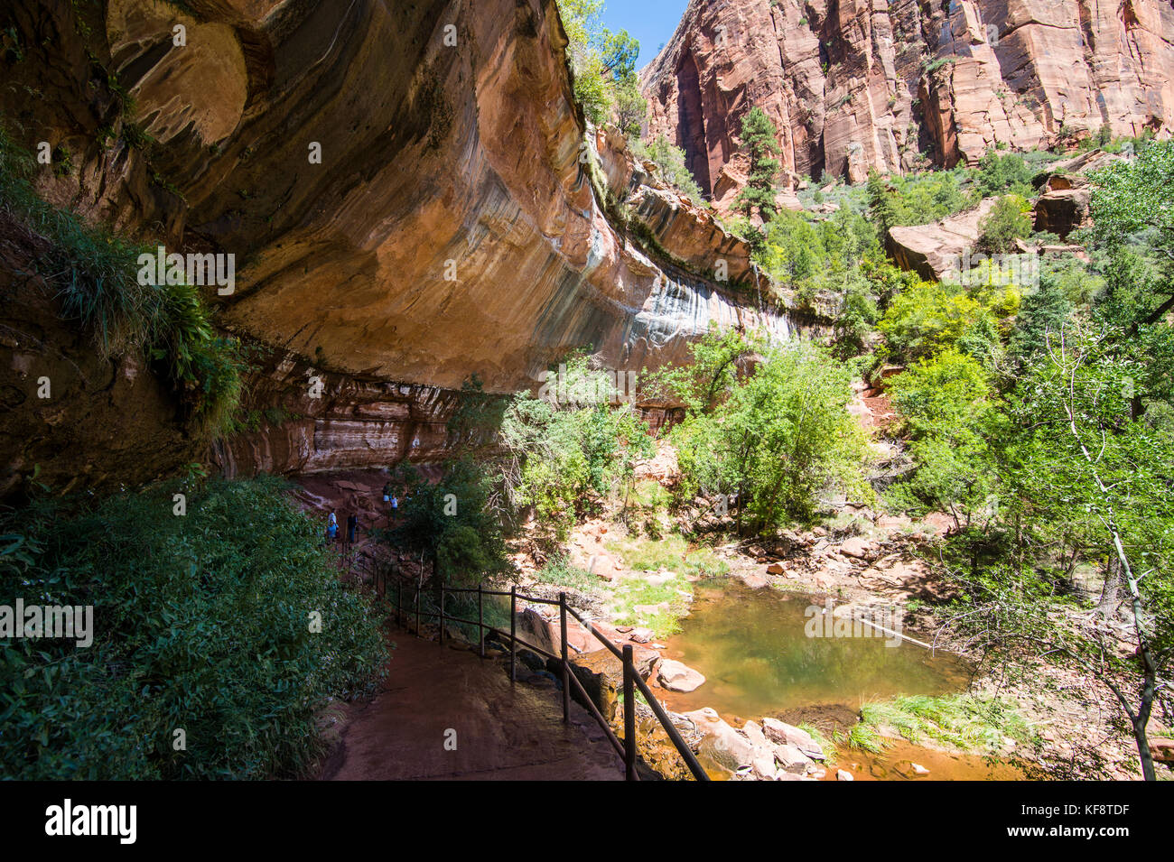 Overhanging rock at the Emerald pools in the Zion National Park, Utah, USA Stock Photo