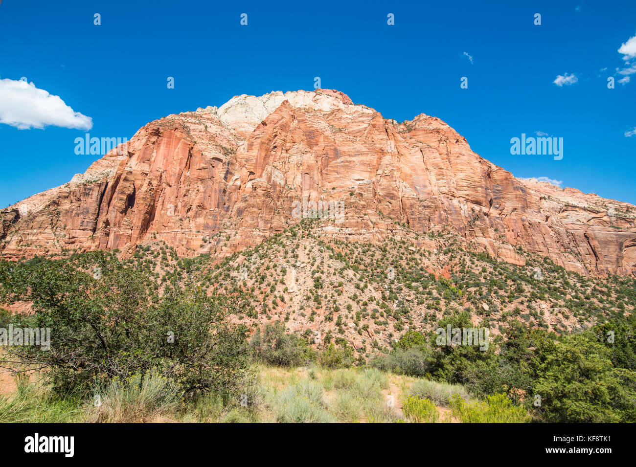 Sandstone rocks in the Zion National Park, Utah, USA Stock Photo
