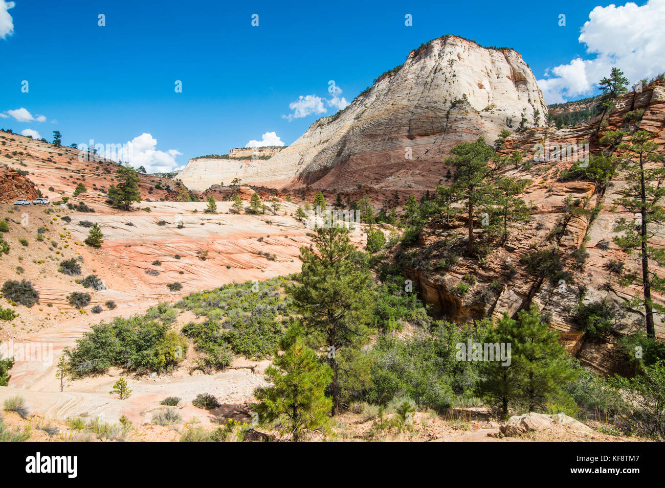 Sandstone rocks in the Zion National Park, Utah, USA Stock Photo
