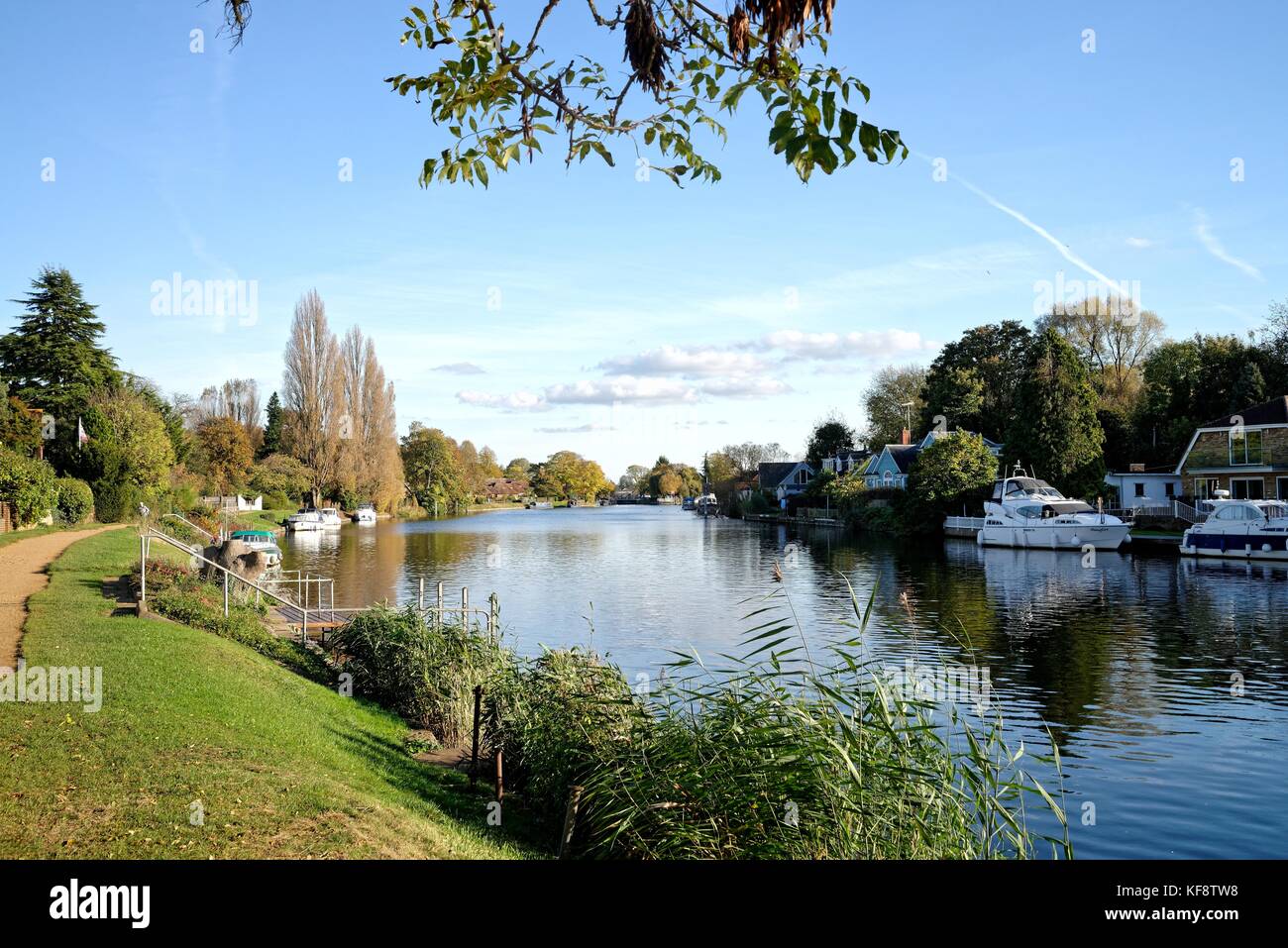 The River Thames at Laleham Surrey in the Autumn UK Stock Photo Alamy