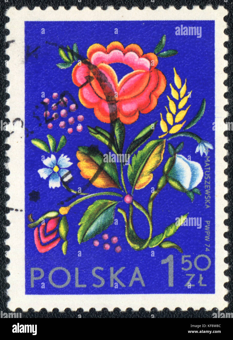 Poland National Flower Stock Photos & Poland National Flower Stock
