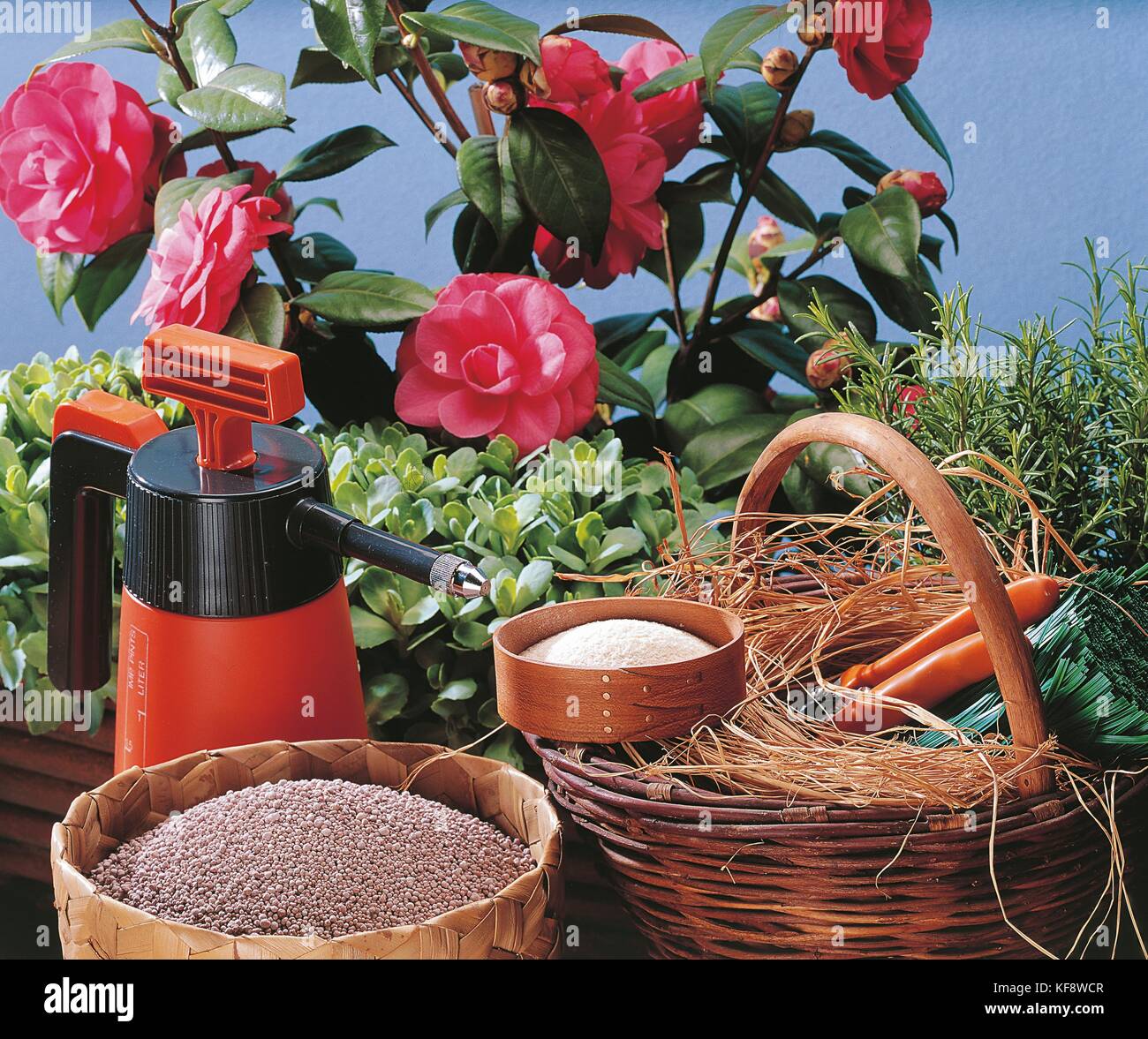 Still Life, Gardening Propolis Stock Photo
