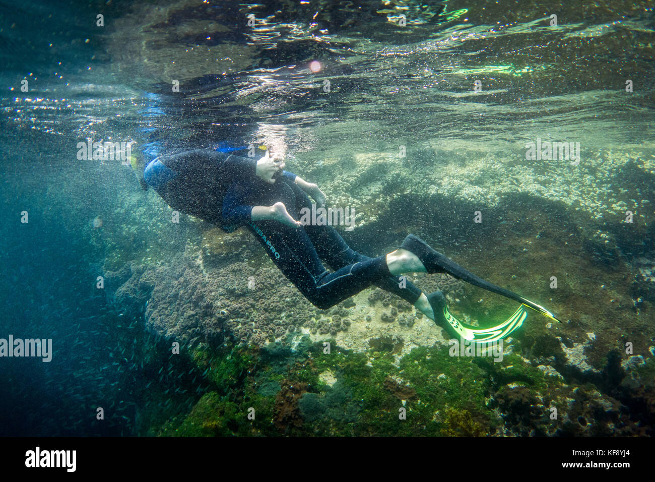 GALAPAGOS ISLANDS, ECUADOR, individuals snorkeling in the waters near