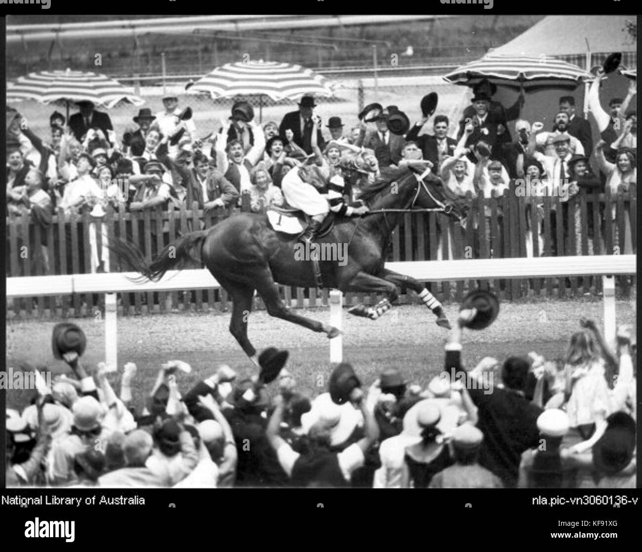 Phar Lap wins the Melbourne Cup Stock Photo