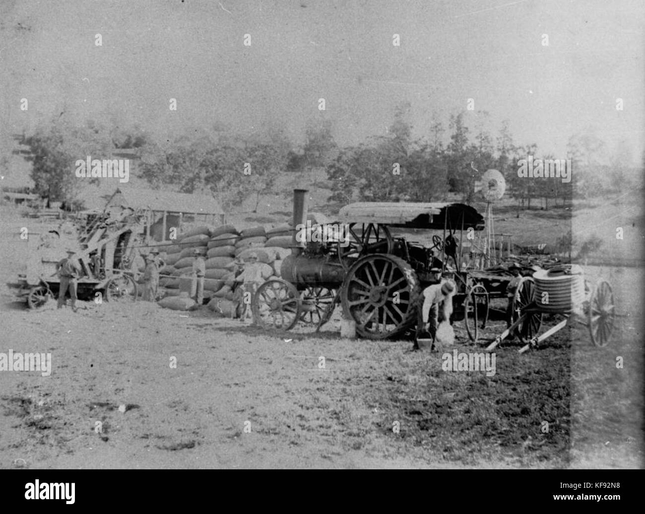 1 131195 Traction engine at a property owned by James Shelley, Upper Freestone, ca. 1900 Stock Photo