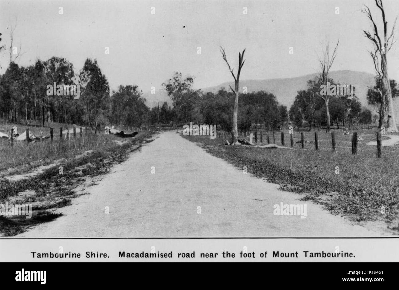 1 113184 Sealed road at the foot of Mount Tamborine, Queensland, 1925