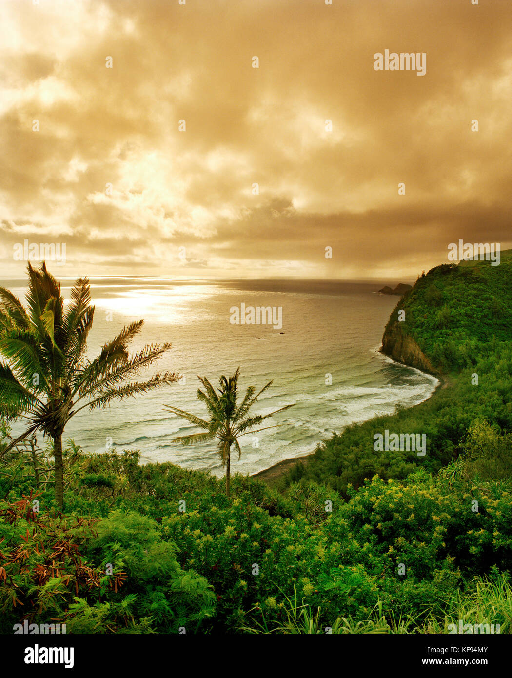 USA, Hawaii, The Big Island, Pololu Valley Lookout, scenic view of an
