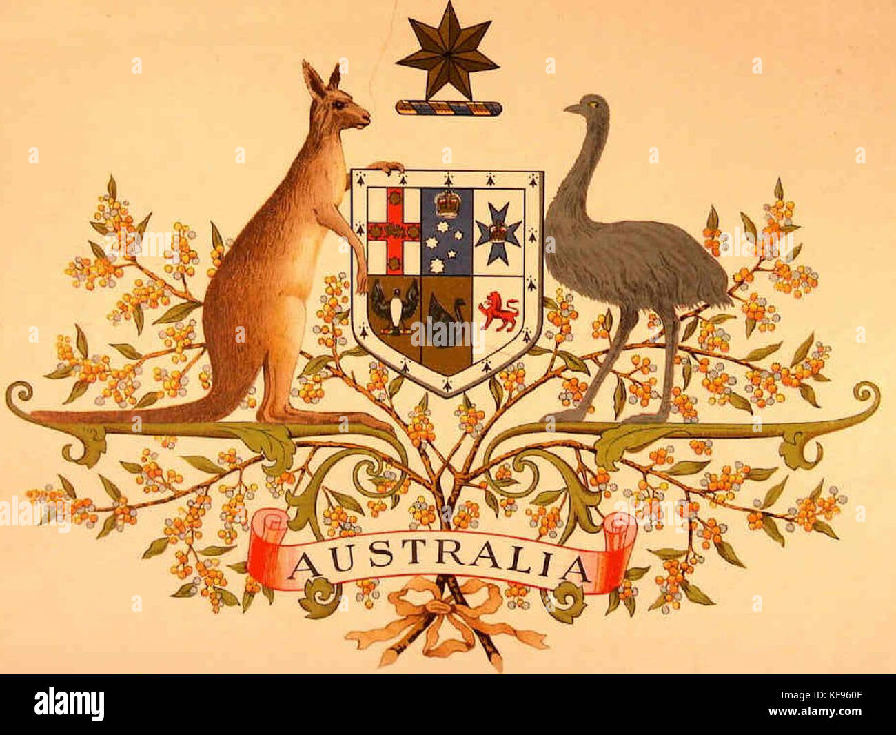 Australian coat of arms 1912 Stock Photo Alamy