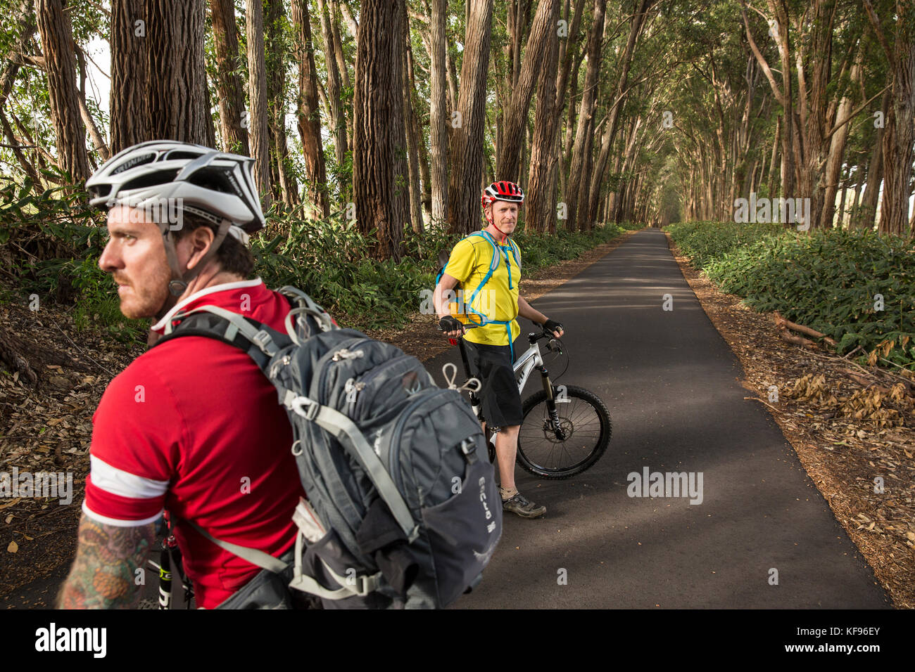 USA, Hawaii, The Big Island, mountain biking through iron wood trees on