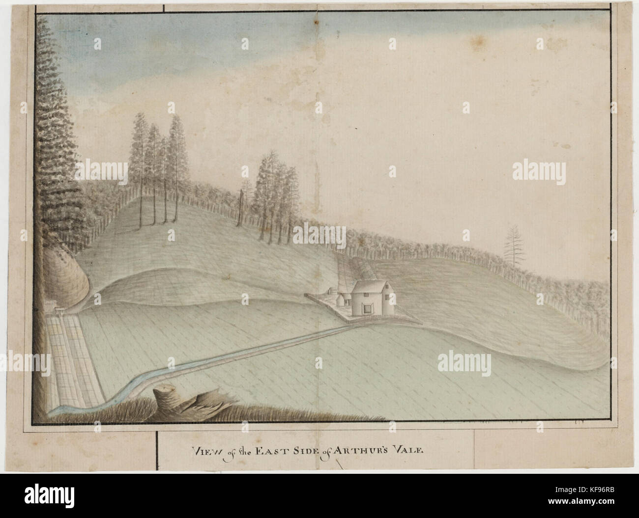 Genealogy series hi-res stock photography and images - Alamy