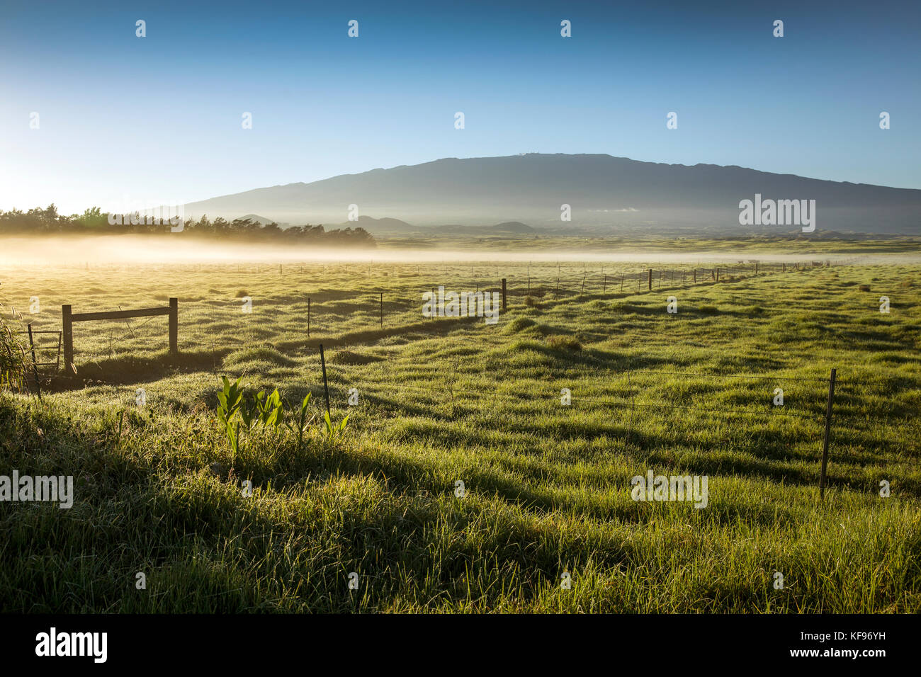 USA, Hawaii, The Big Island, Mana Road landscape, mountain bike Stock
