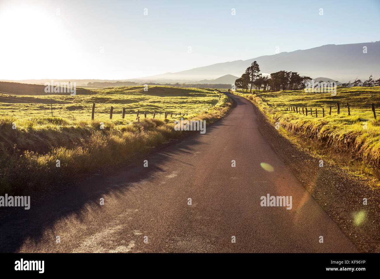USA, Hawaii, The Big Island, Mana Road landscape, mountain bike Stock