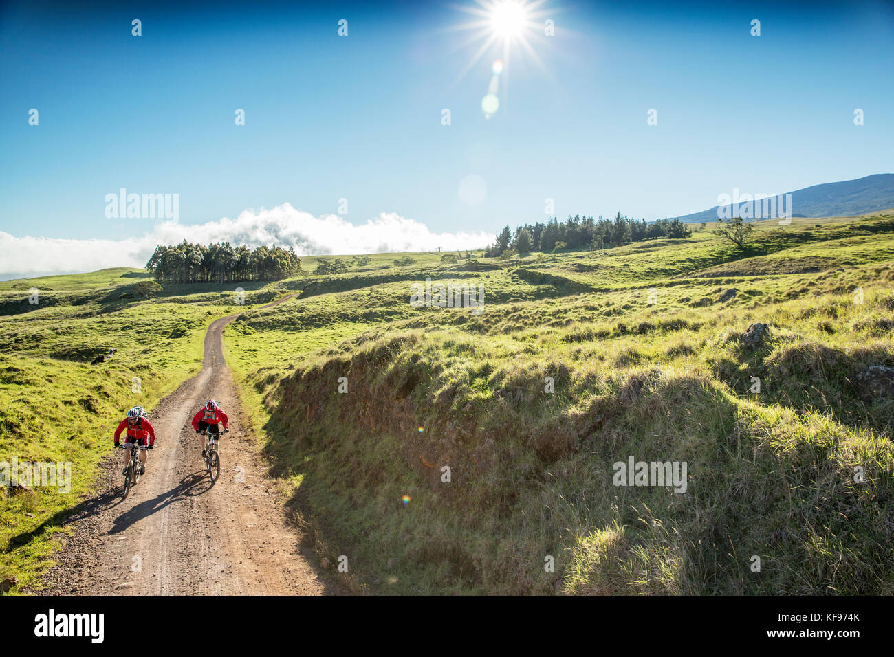 USA, Hawaii, The Big Island, journalist Daniel Duane and chef Seamus Mullens mountain bike on Mana Road at the base of the Kiluea volcano Stock Photo