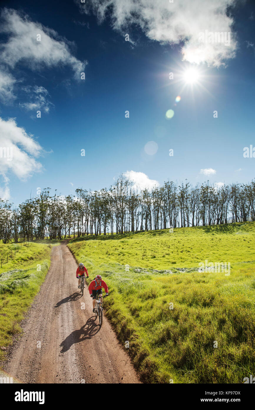 USA, Hawaii, The Big Island, journalist Daniel Duane and chef Seamus Mullens mountain bike on Mana Road at the base of the Kiluea volcano Stock Photo