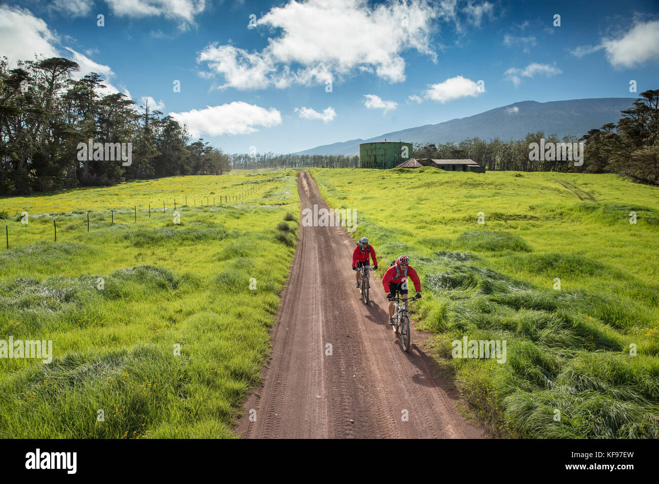 USA, Hawaii, The Big Island, journalist Daniel Duane and chef Seamus Mullens mountain bike on Mana Road at the base of the Kiluea volcano Stock Photo