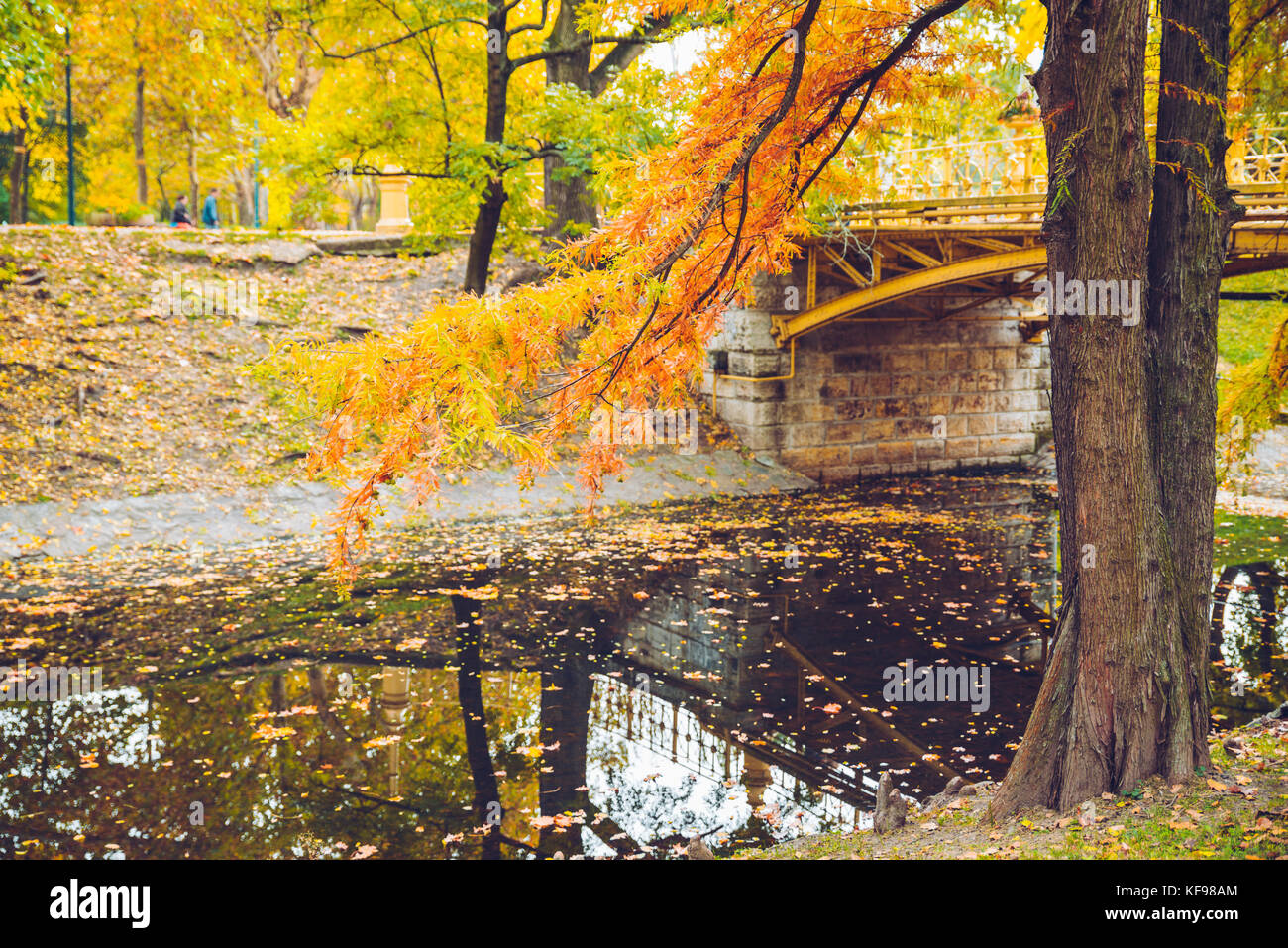 Autumn rustic forest landscape. park with river bridge Stock Photo - Alamy