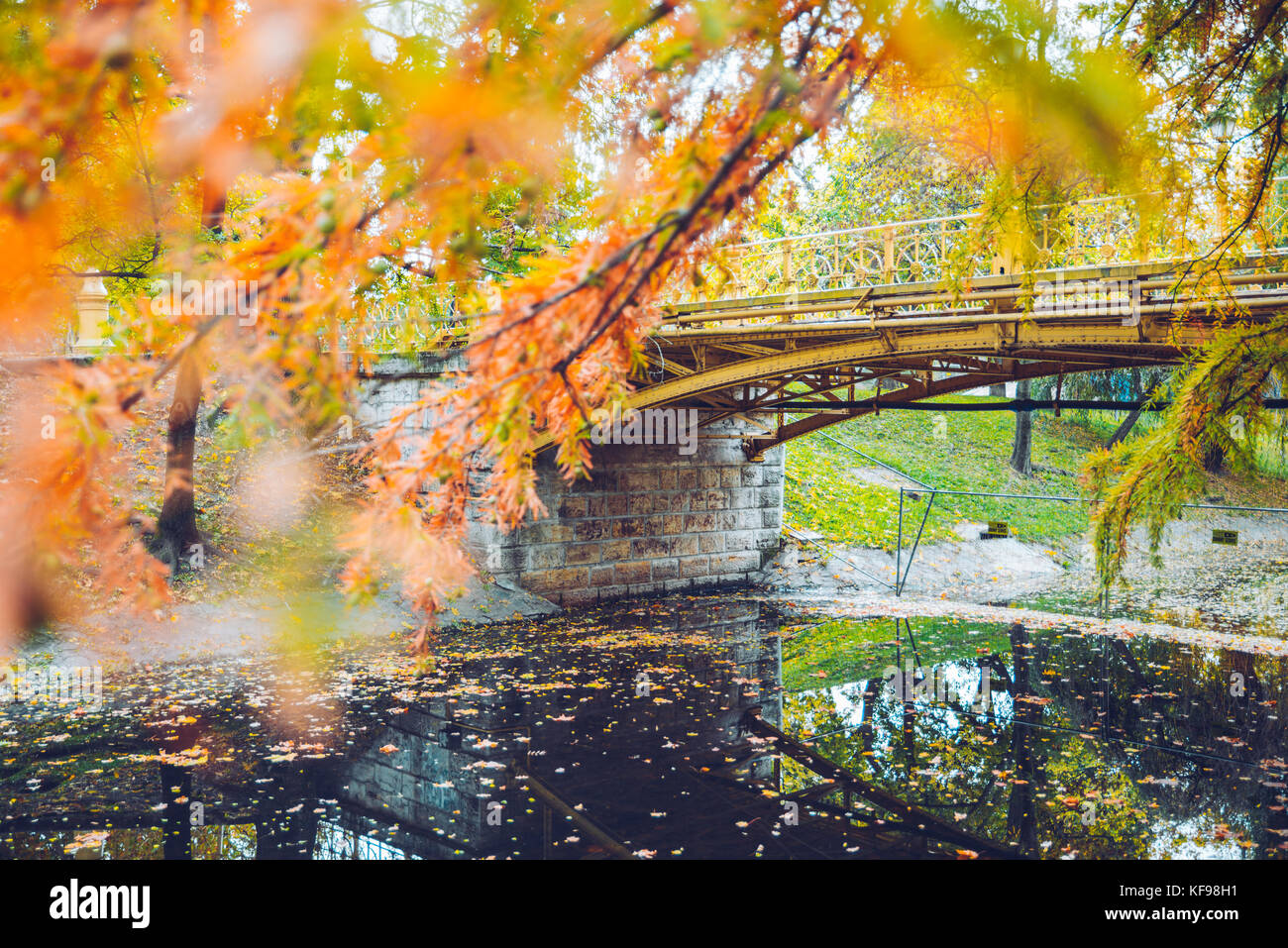 Autumn rustic forest landscape. park with river bridge Stock Photo - Alamy